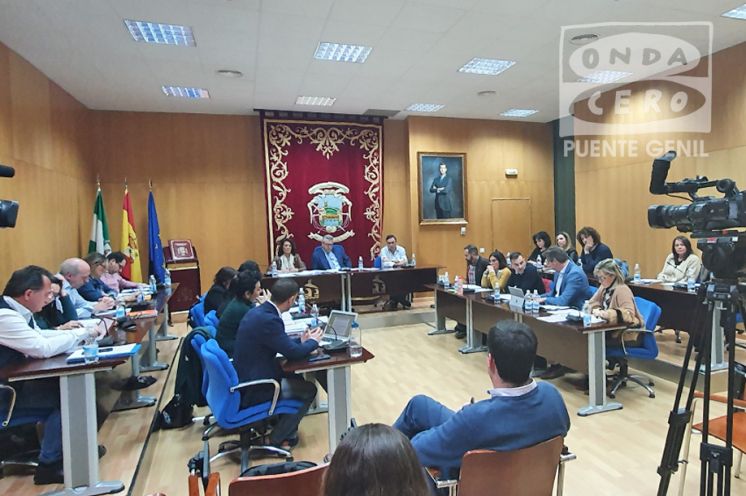 Pleno ordinario de febrero.