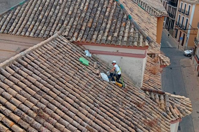 Trabajos en el tejado.