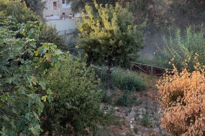 EGEMASA actuará este otoño para eliminar cañaverales invasores en los tramos urbanos del río Genil