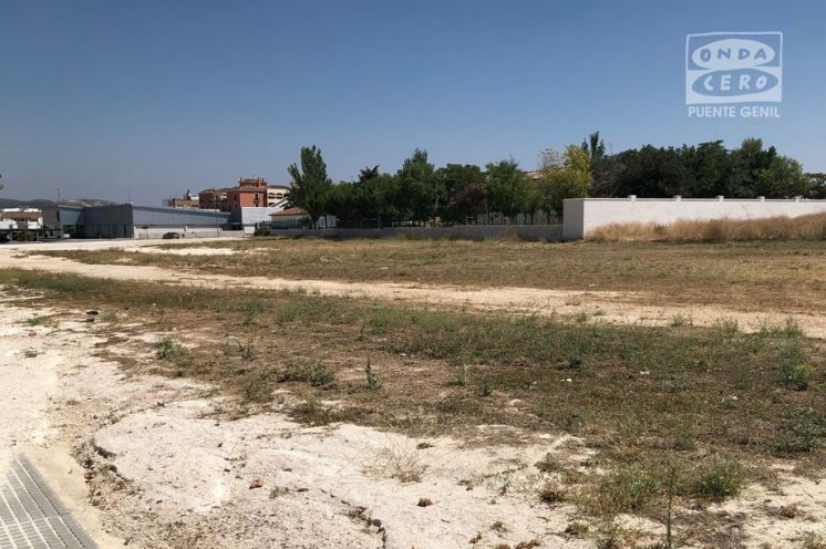 Parcela donde está proyectado el pabellón.