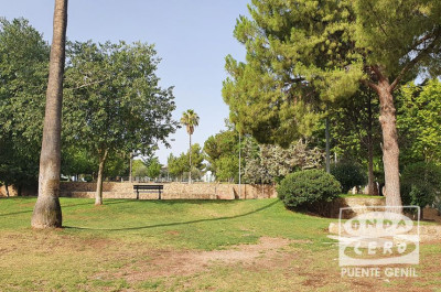 El Ayuntamiento cierra temporalmente varios parques ante la llegada de un frente con fuertes rachas de viento