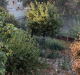EGEMASA actuará este otoño para eliminar cañaverales invasores en los tramos urbanos del río Genil