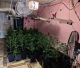 La Guardia Civil detiene a dos personas en Puente Genil por cultivo de marihuana y defraudación de fluido eléctrico